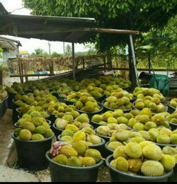 2020年香港食品貿易資訊概覽 1144家批發及零售商戶數據解析